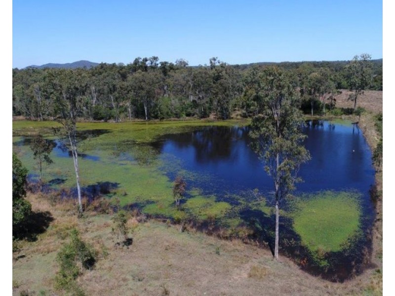 344 Wills Road, Rosedale QLD 4674