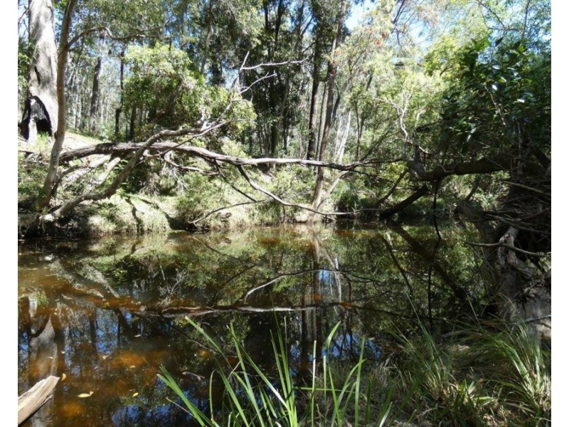 344 Wills Road, Rosedale QLD 4674