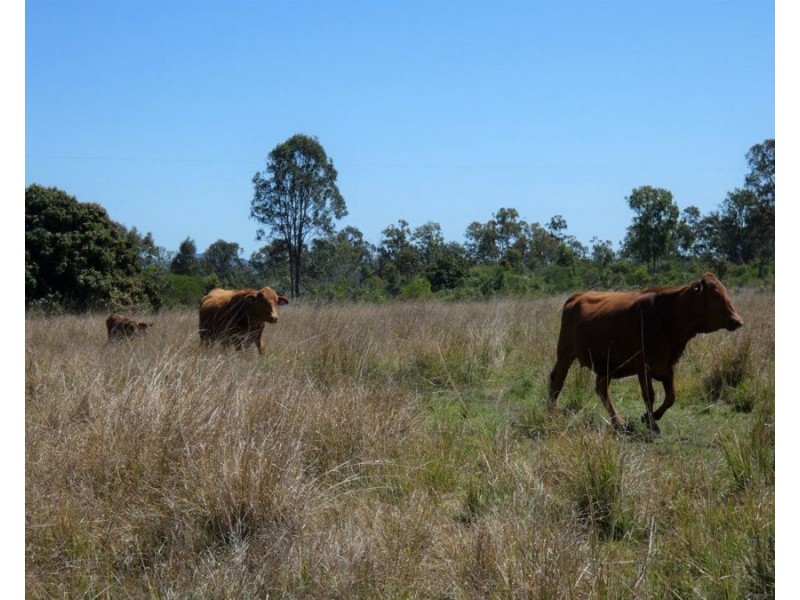 344 Wills Road, Rosedale QLD 4674