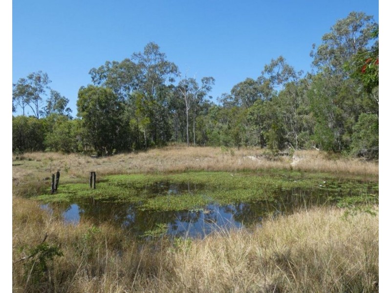 344 Wills Road, Rosedale QLD 4674