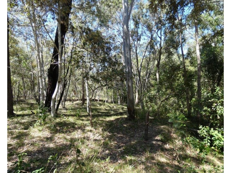 344 Wills Road, Rosedale QLD 4674