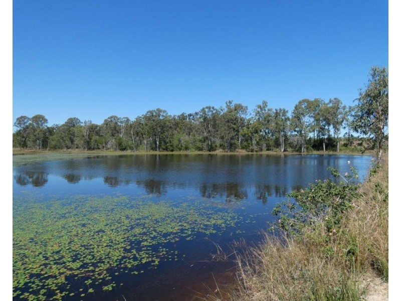 344 Wills Road, Rosedale QLD 4674