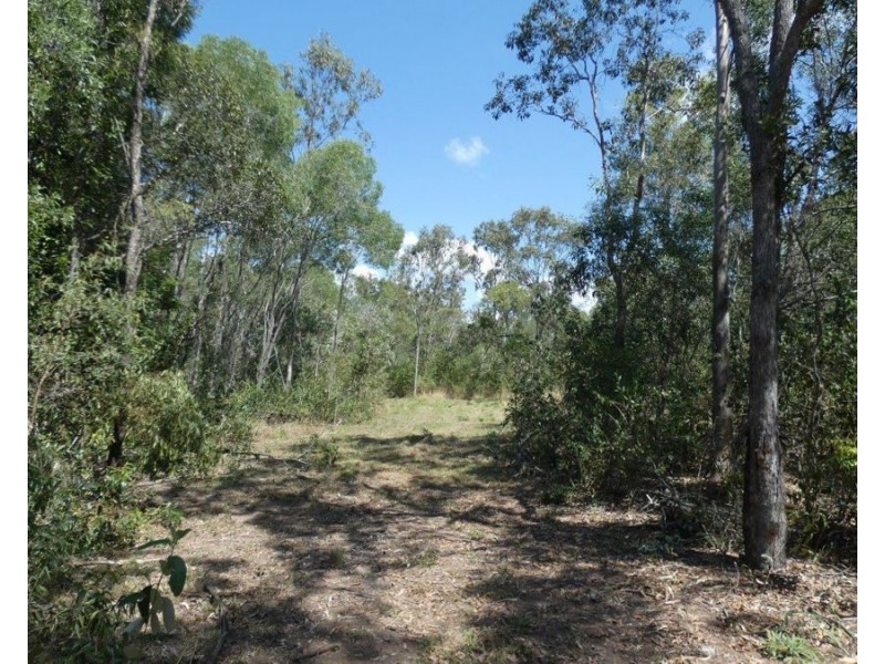 Lot 87 Bischoffs Road, Euleilah QLD 4674
