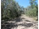 666 Capricornia Drive, Deepwater QLD 4674