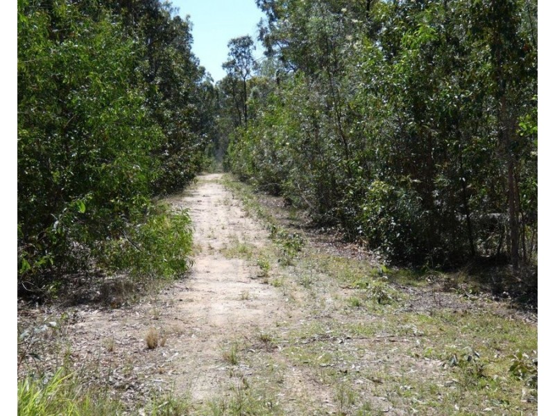 666 Capricornia Drive, Deepwater QLD 4674