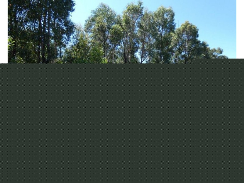 666 Capricornia Drive, Deepwater QLD 4674