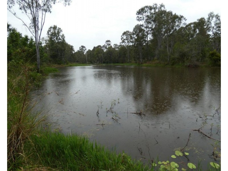43 Stegemans Road, Rosedale QLD 4674