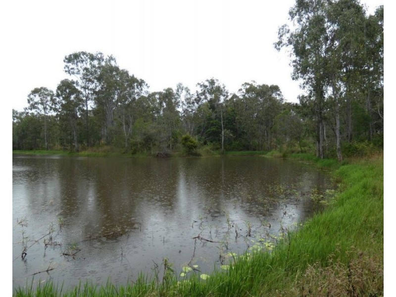 43 Stegemans Road, Rosedale QLD 4674