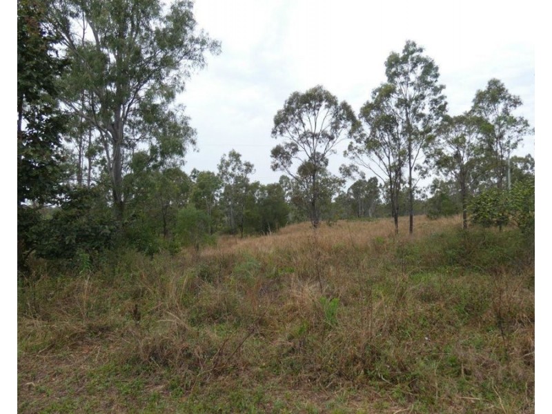 43 Stegemans Road, Rosedale QLD 4674