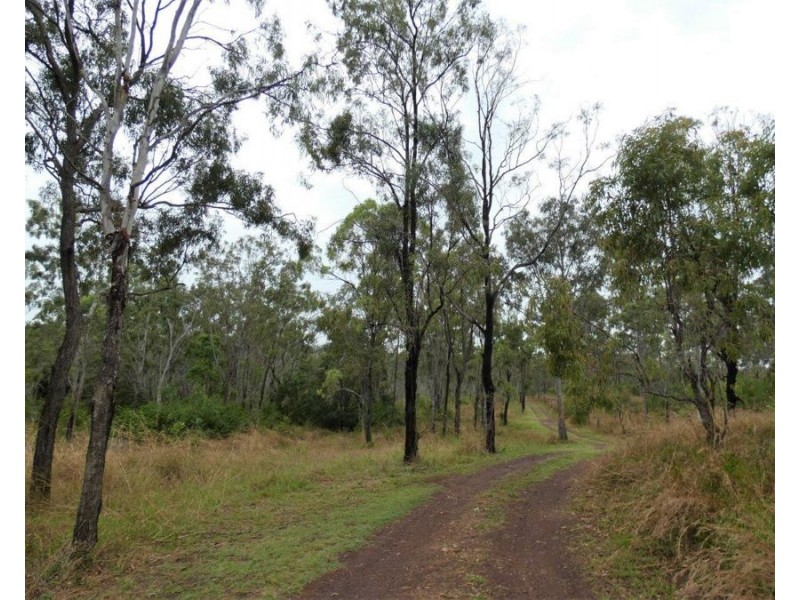 43 Stegemans Road, Rosedale QLD 4674