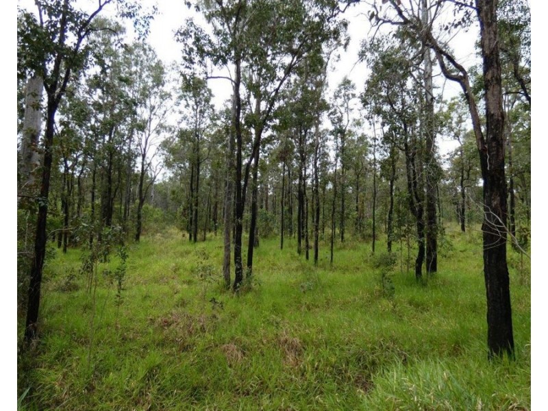 426 Mitchell Road, Mount Maria QLD 4674