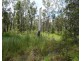 426 Mitchell Road, Mount Maria QLD 4674