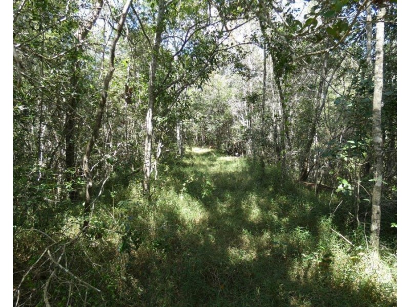 684 Taunton Road, Taunton QLD 4674