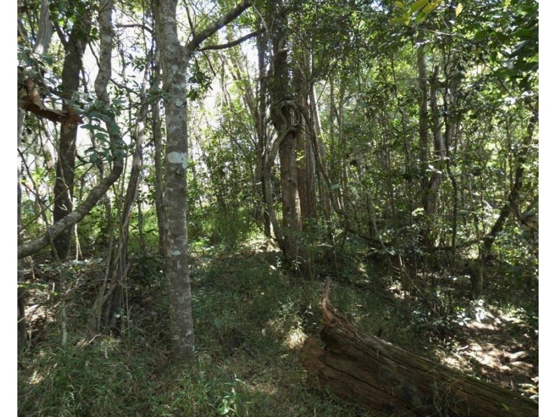684 Taunton Road, Taunton QLD 4674