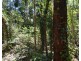 Lot 16 MacKellor Road, Lowmead QLD 4676