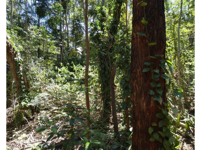 Lot 16 MacKellor Road, Lowmead QLD 4676