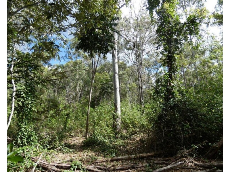 Lot 16 MacKellor Road, Lowmead QLD 4676
