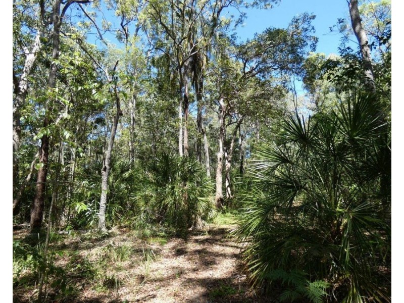 Lot 16 MacKellor Road, Lowmead QLD 4676