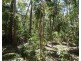 Lot 16 MacKellor Road, Lowmead QLD 4676