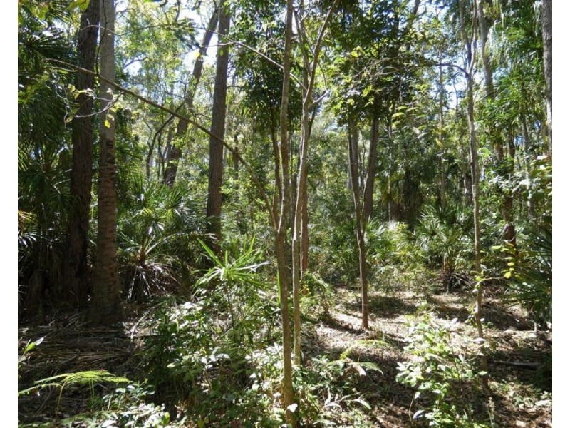 Lot 16 MacKellor Road, Lowmead QLD 4676