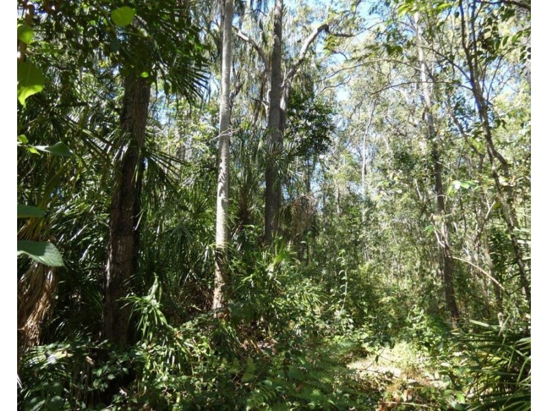 Lot 16 MacKellor Road, Lowmead QLD 4676