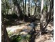 Lot 16 MacKellor Road, Lowmead QLD 4676