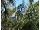 Lot 16 MacKellor Road, Lowmead QLD 4676