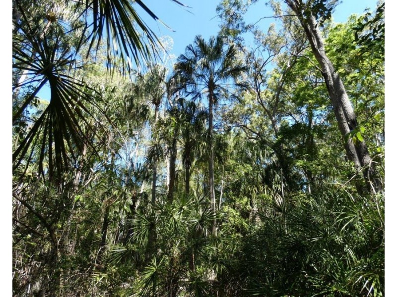 Lot 16 MacKellor Road, Lowmead QLD 4676