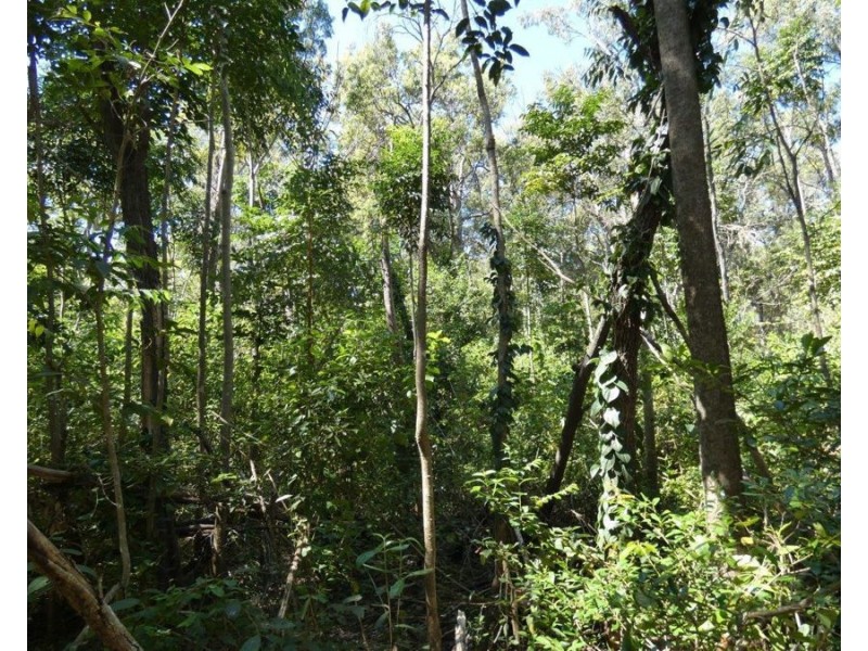 Lot 16 MacKellor Road, Lowmead QLD 4676