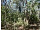 Lot 16 MacKellor Road, Lowmead QLD 4676