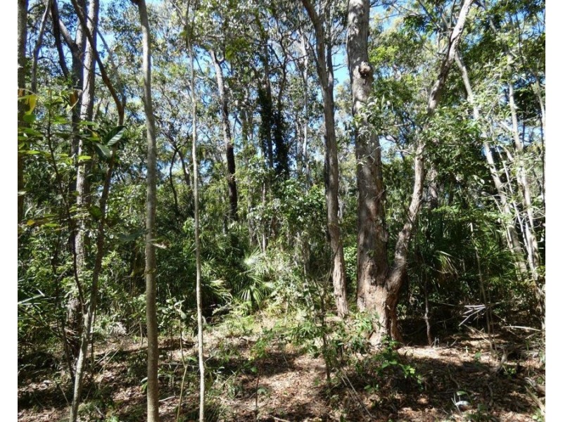 Lot 16 MacKellor Road, Lowmead QLD 4676