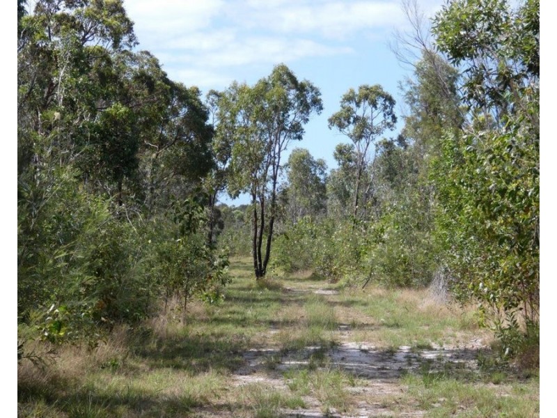800 Capricornia Drive, Deepwater QLD 4674