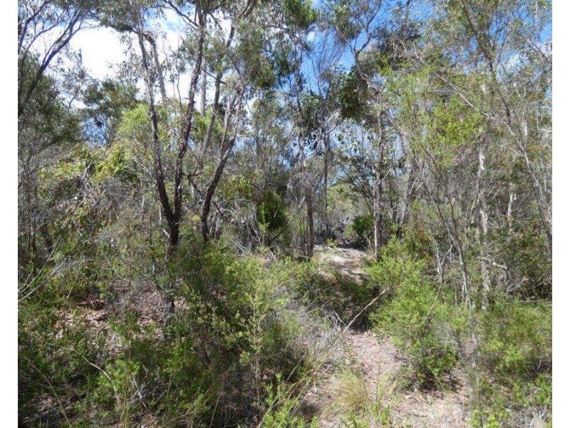 Lot 30 Lindy Drive, Rules Beach QLD 4674