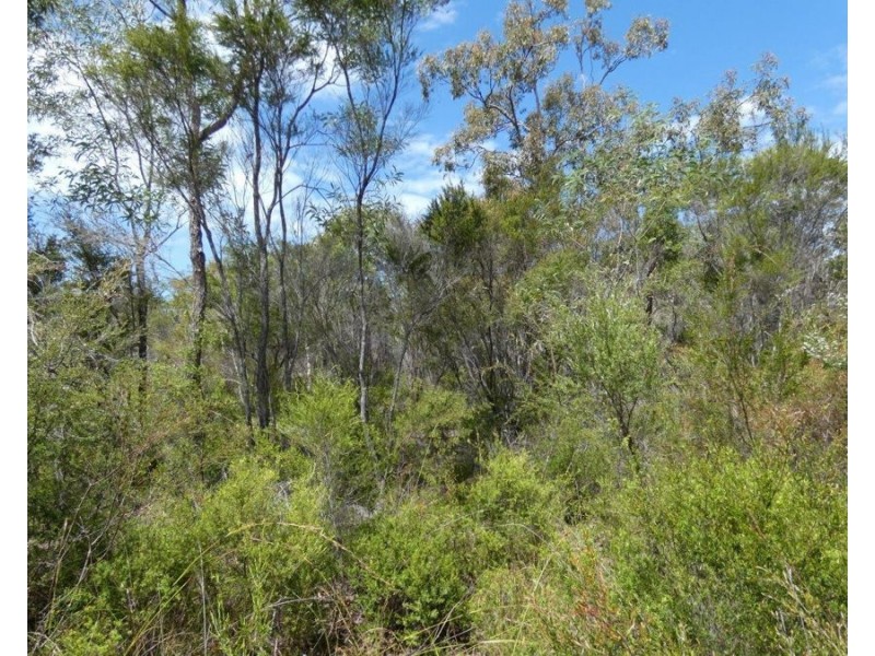 Lot 30 Lindy Drive, Rules Beach QLD 4674