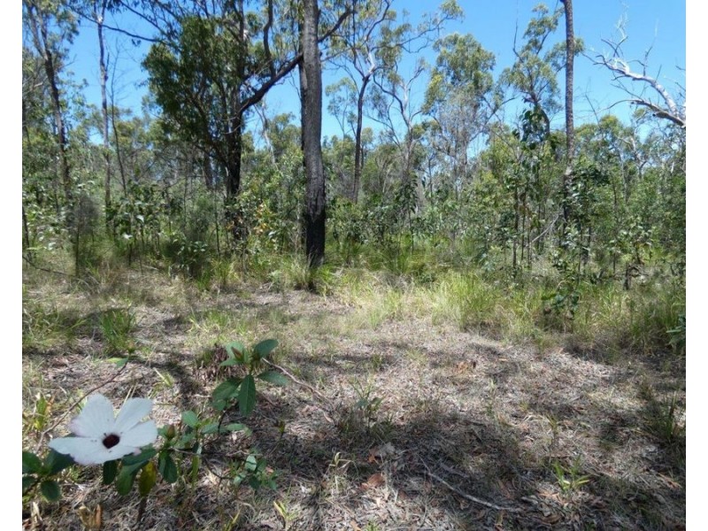 Mount Maria QLD 4674