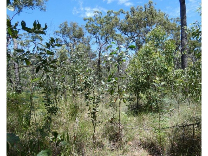 Mount Maria QLD 4674