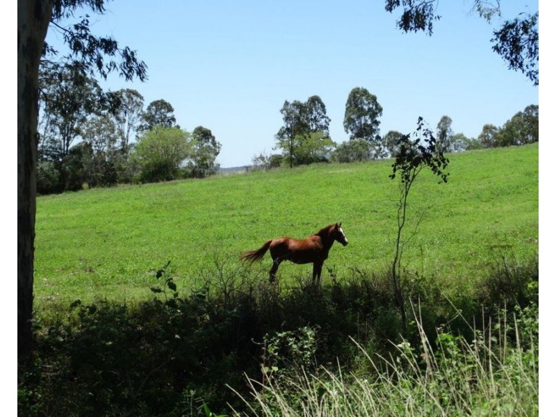 19 Claytons Road, Lowmead QLD 4676