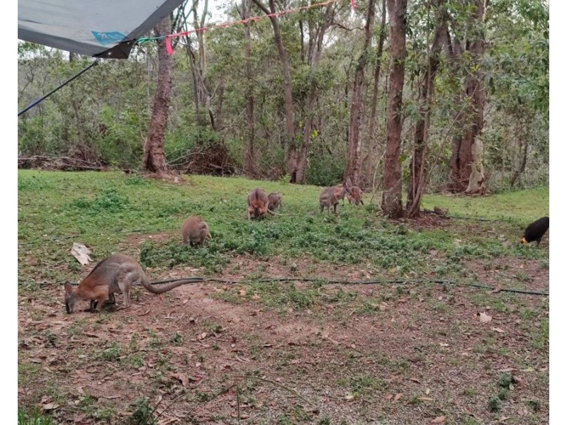 572 Mineral Road, Rosedale QLD 4674