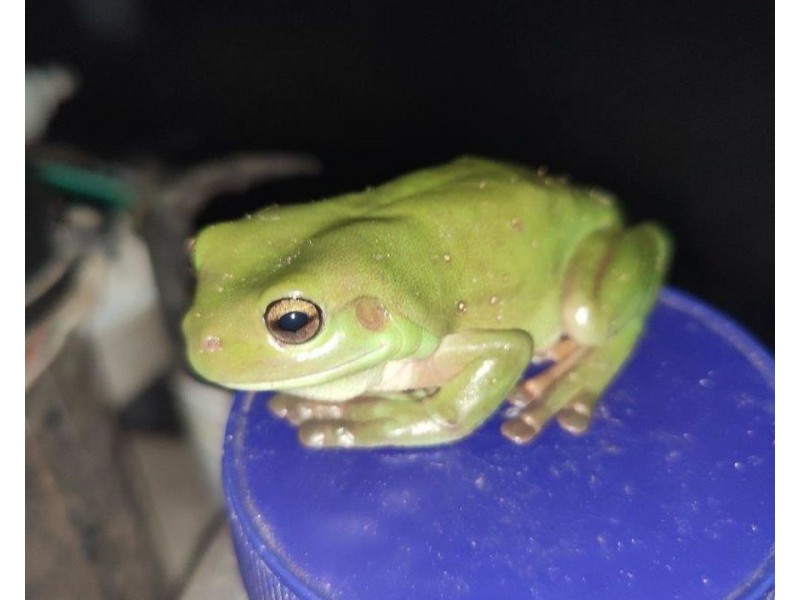 572 Mineral Road, Rosedale QLD 4674