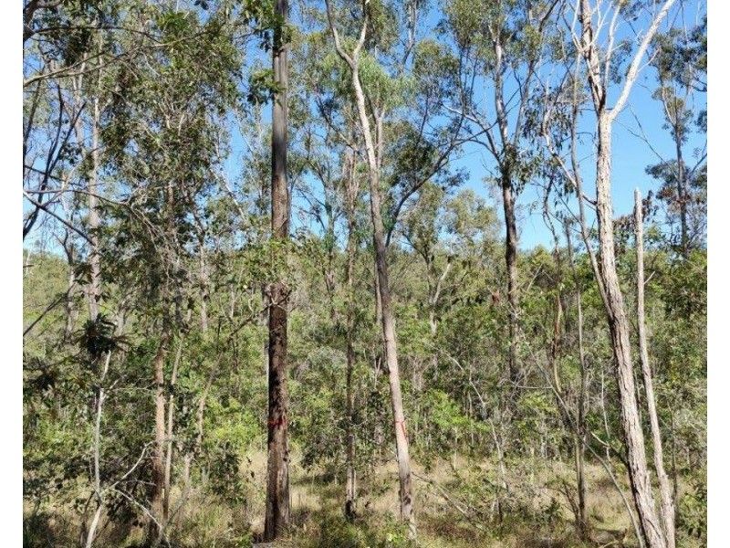 572 Mineral Road, Rosedale QLD 4674