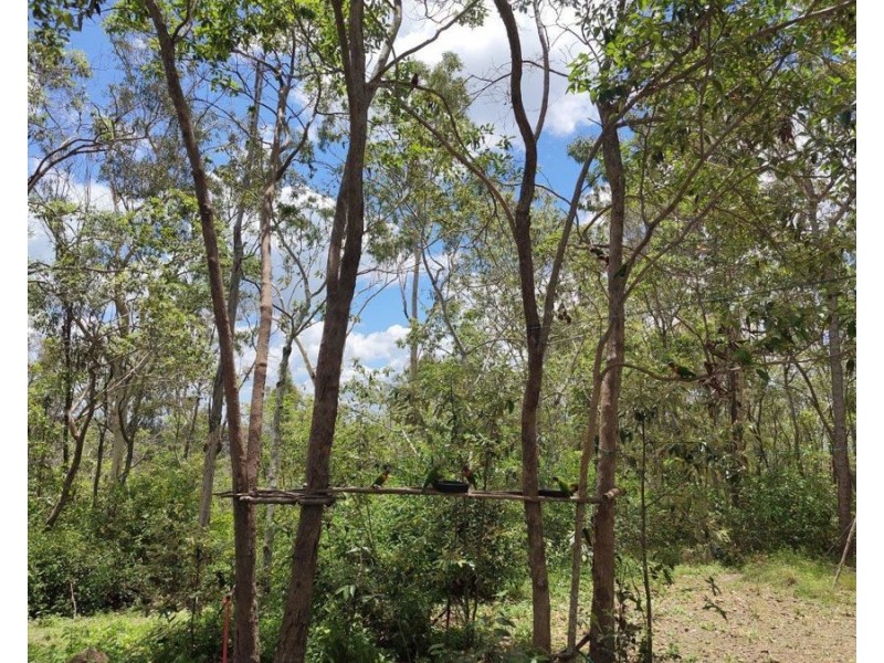 572 Mineral Road, Rosedale QLD 4674