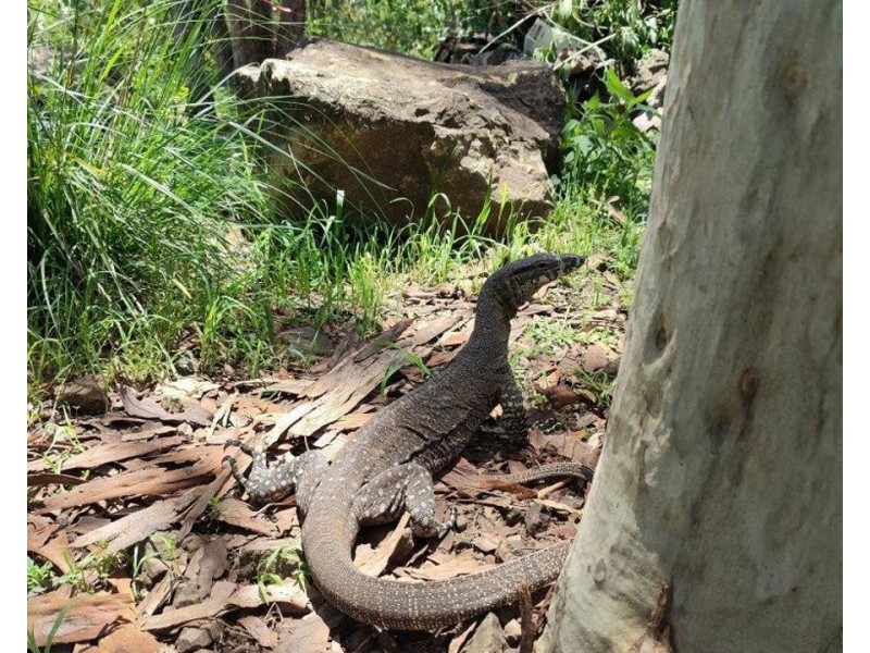 572 Mineral Road, Rosedale QLD 4674