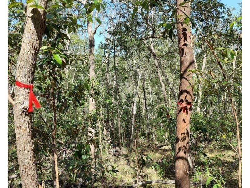 572 Mineral Road, Rosedale QLD 4674