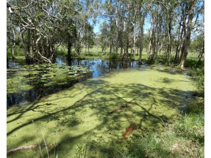 100 Blackmans Gap Road, Miriam Vale QLD 4677