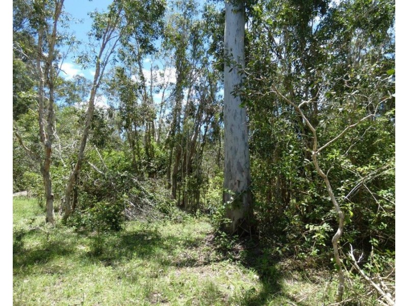 100 Blackmans Gap Road, Miriam Vale QLD 4677