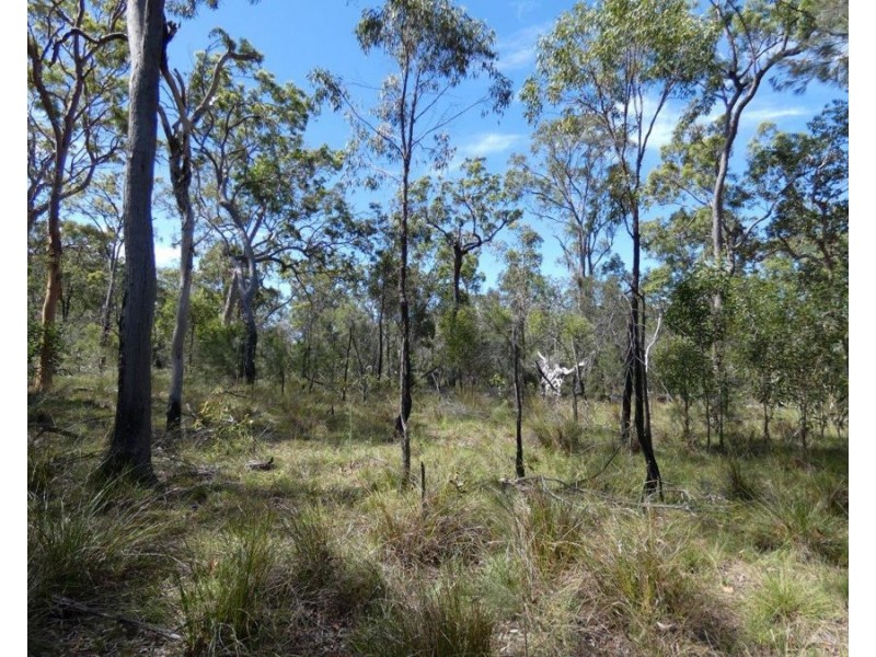 Lot 65 Matchbox Road, Deepwater QLD 4674