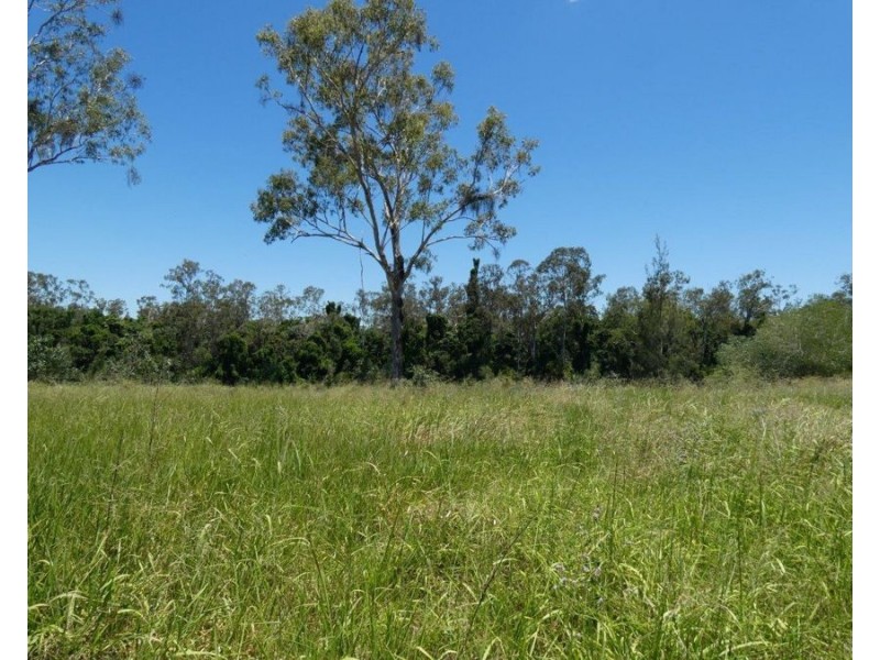 Lot 45 Brauers Road, Mount Maria QLD 4674