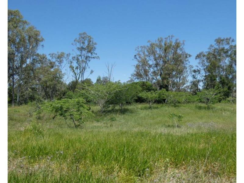 Lot 45 Brauers Road, Mount Maria QLD 4674