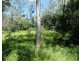 Lot 45 Brauers Road, Mount Maria QLD 4674