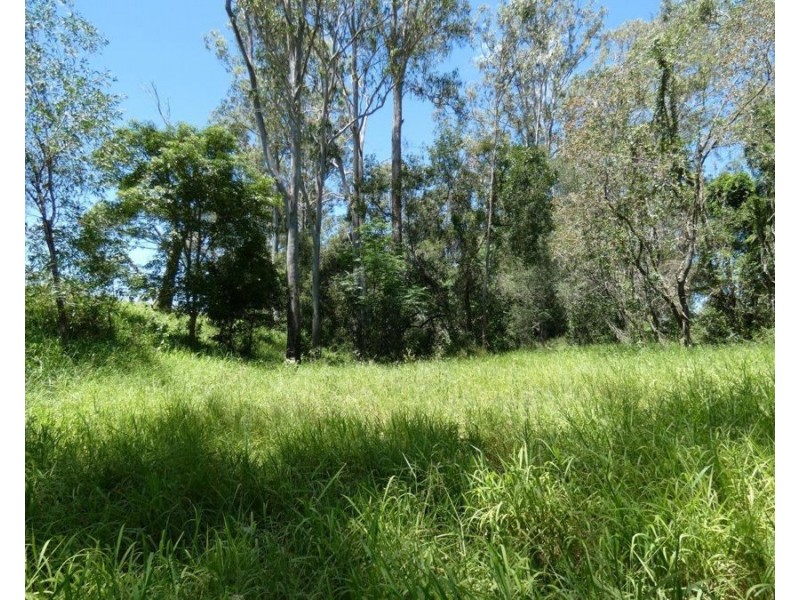 Lot 45 Brauers Road, Mount Maria QLD 4674
